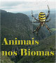 Animais e os biomas da Bahia