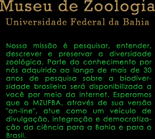 Texto de Boas Vindas do MZUFBA